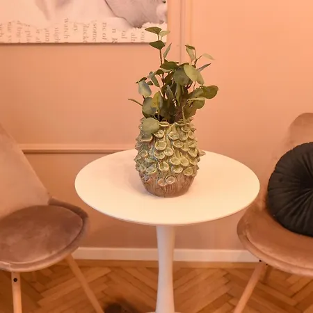 The Rose Gold - Cinema Studio Near Radisson * Bucharest