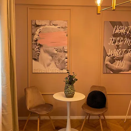 Apartment The Rose Gold - Cinema Studio Near Radisson